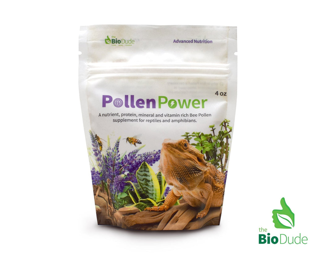 Unlocking the Benefits: Bee Pollen as a Superfood for Your Reptile Companions