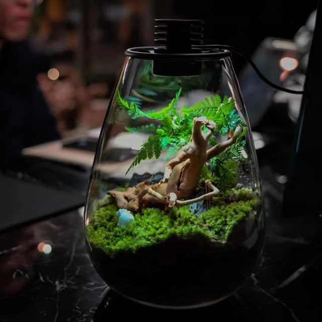 Aquarium Mini Stylish Small Fish Tank With USB LED Light Acrylic Aquarium –  Factory Mart