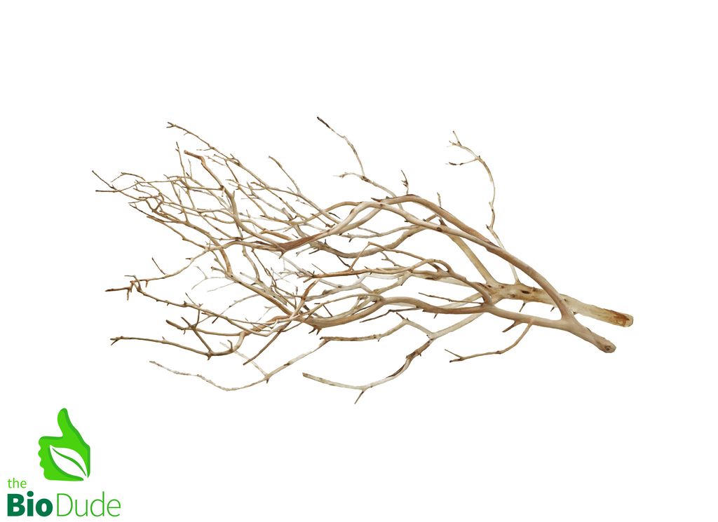 Natural Manzanita Full Branch(Sandblasted) - Intricate