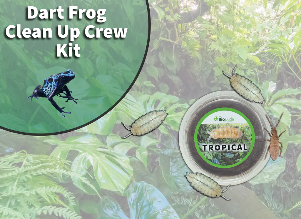 Poison Dart Frog Clean Up Crew Pack FREE SHIPPING