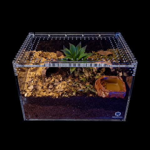 Tarantula Cribs - Slider Crib