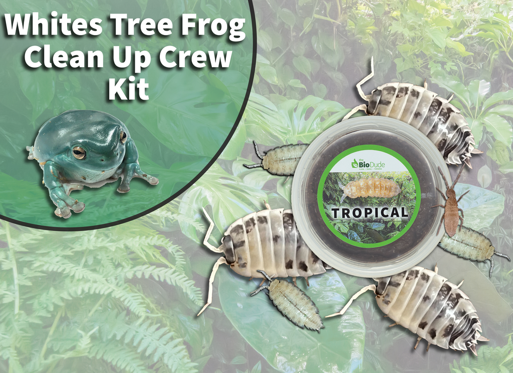 White's Tree Frog Clean Up Crew Pack  FREE SHIPPING